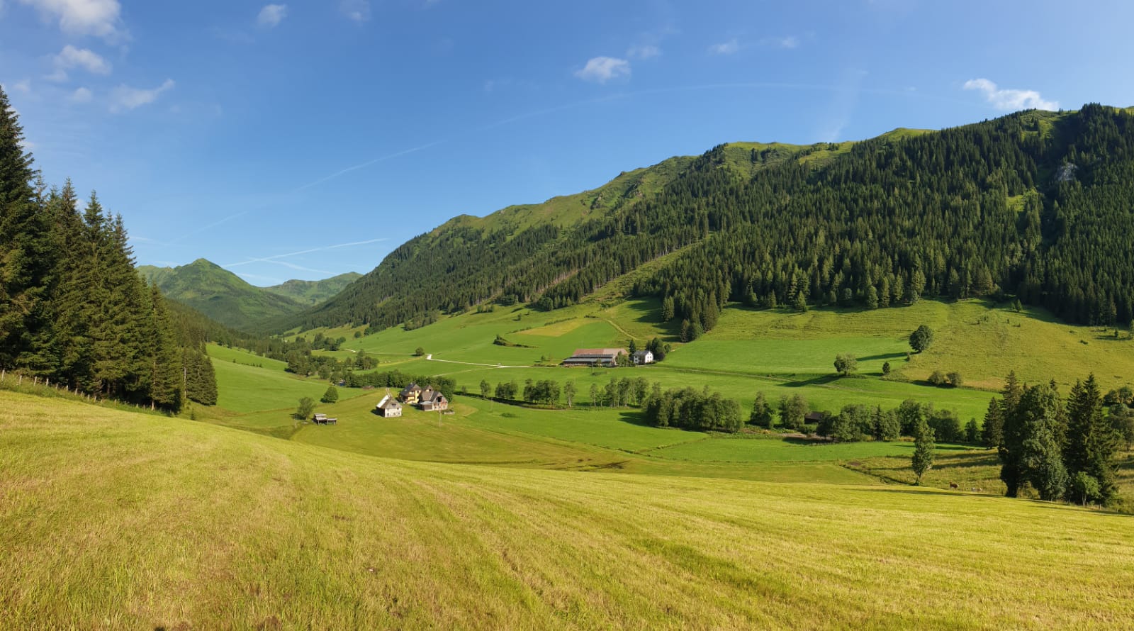 Pusterwald Umgebung